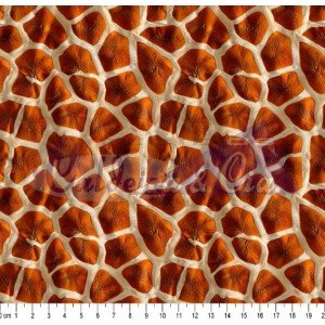 Girafa Cor 04 (Est. Digital 3D) 